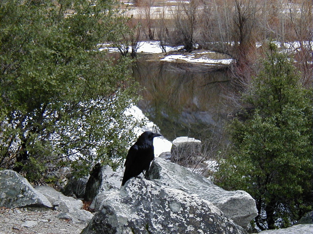 P2200950.JPG
