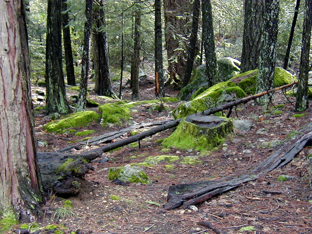 P2200955.JPG