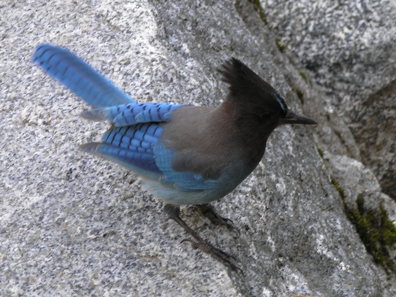 P4290238.JPG