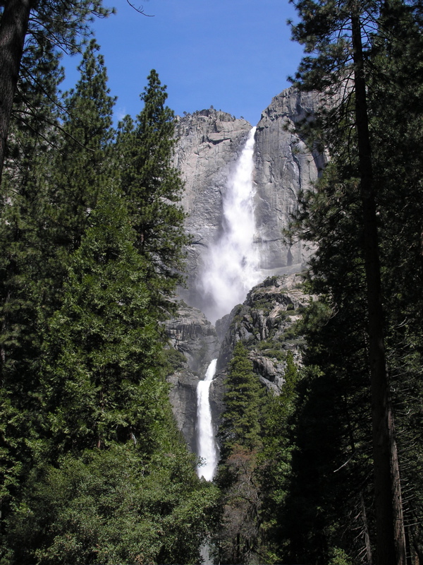 P4290247.JPG