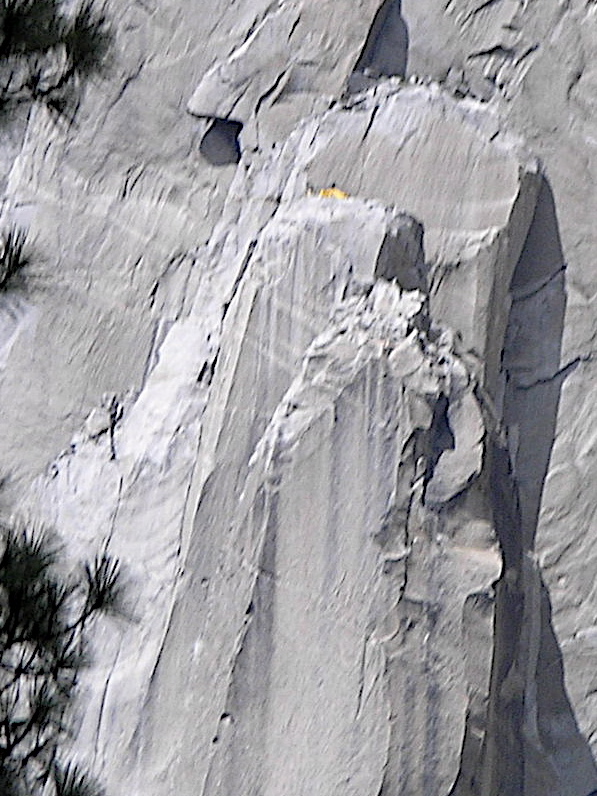 P5010299a.JPG