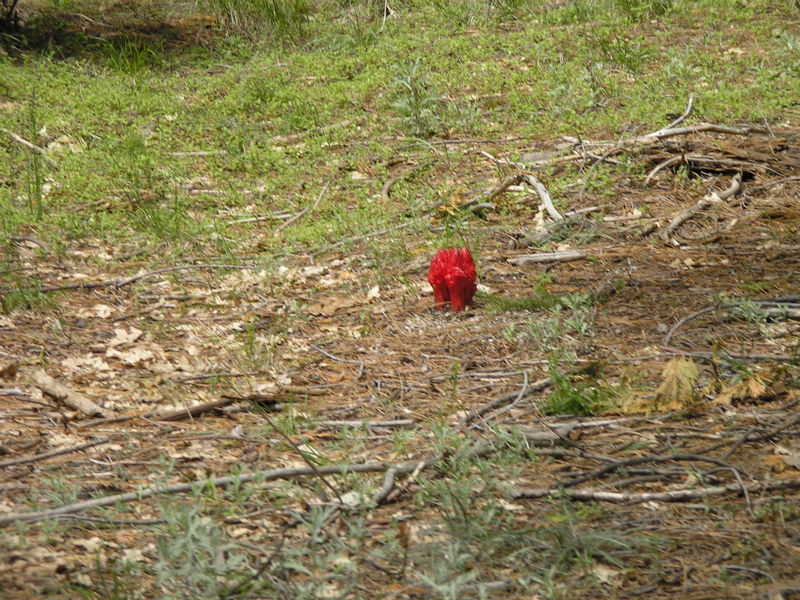 P5010305.JPG