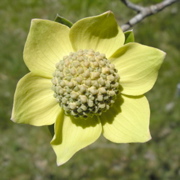 P4290250.JPG
