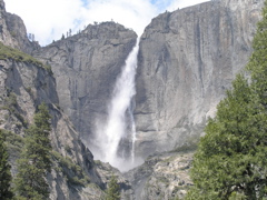 P4290252.JPG