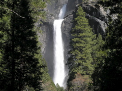 P4290216.JPG
