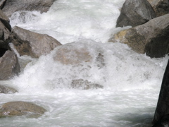 P4290225.JPG