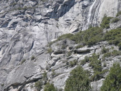P4290234.JPG