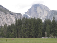 P4300281.JPG