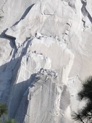 P5020325a.JPG