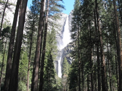 P4290214.JPG