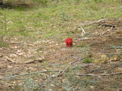 P5010305.JPG