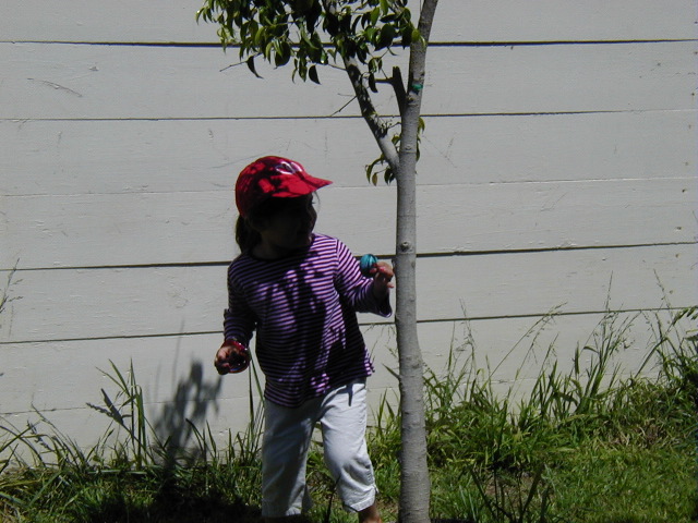 P4190780.JPG