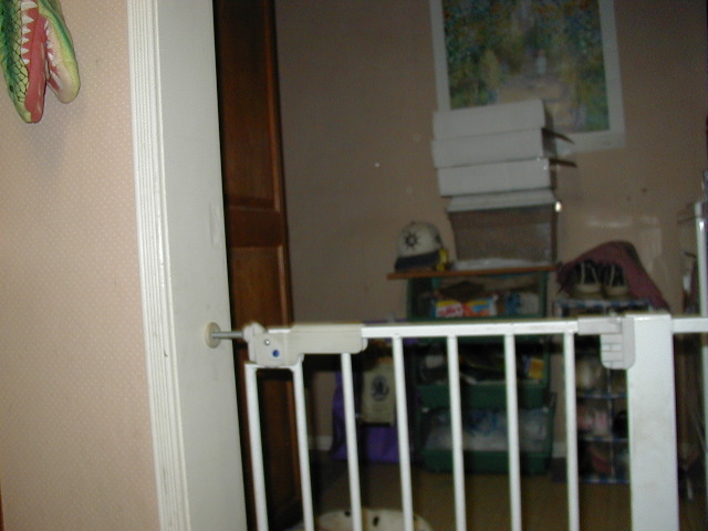P4110756.JPG