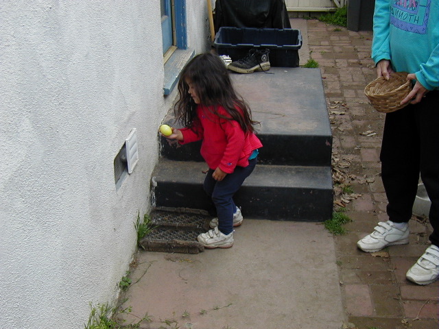P1010032