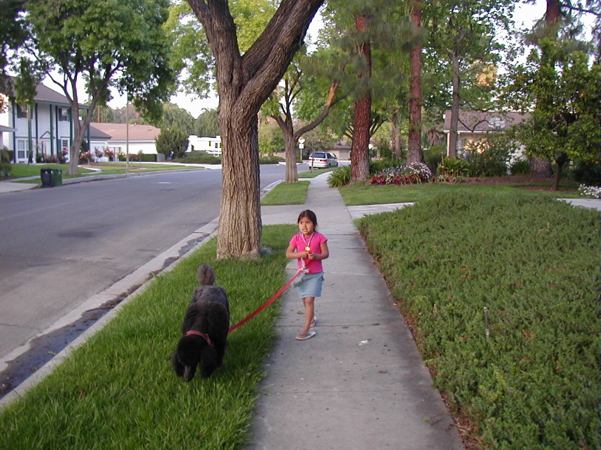 P4100520.JPG