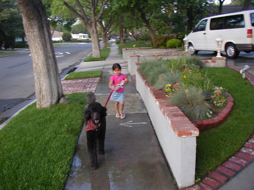 P4100521.JPG