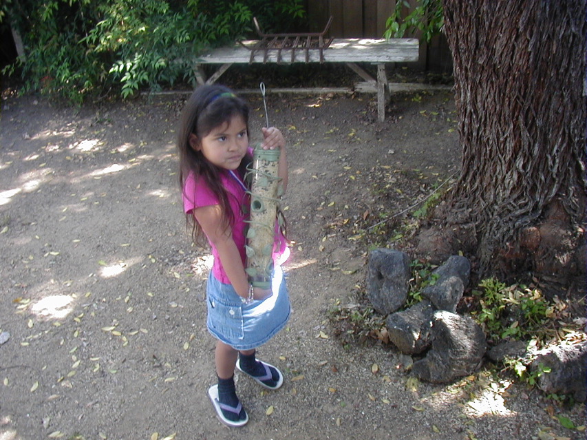 P4110531.JPG
